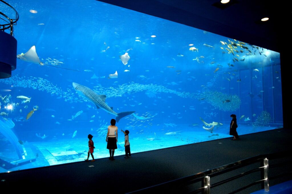 <strong>沖縄美ら海水族館</strong>